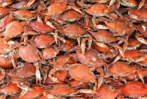 Crab 2