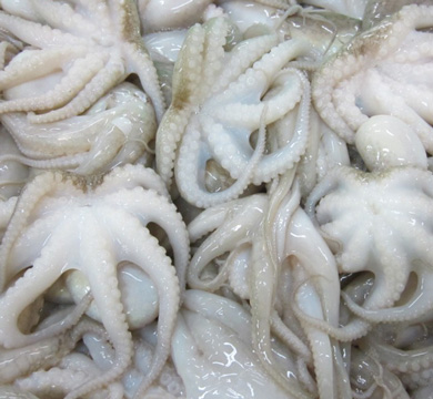 Crab 5