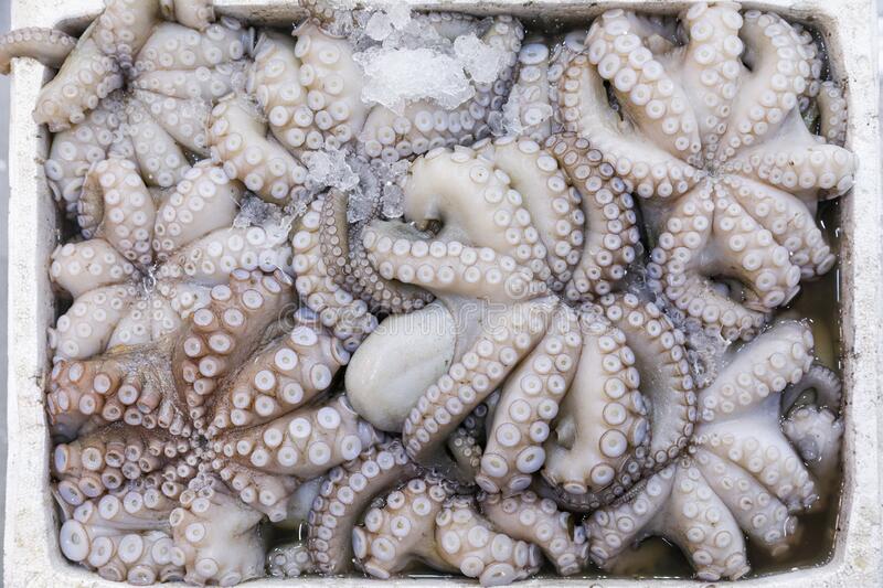 Crab 5